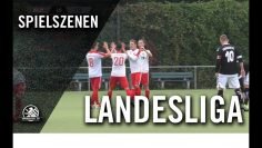 1. FC Wilmersdorf – Frohnauer SC (5. Spieltag, Landesliga, Staffel 2)