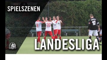1. FC Wilmersdorf – Frohnauer SC (5. Spieltag, Landesliga, Staffel 2)