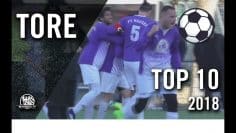 365 Tage und 10 unfassbar geile Treffer! | Die TOP 10 Tore des Jahres 2018