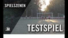 Altona 93 – VfB Lübeck II (Testspiel)