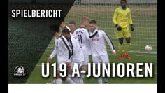 BFC Dynamo – Tennis Borussia Berlin (22. Spieltag, A-Junioren-Regionalliga Nordost)