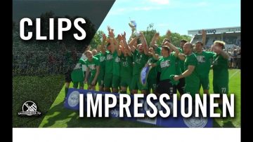 BSG Chemie Leipzig ist zurück in der Regionalliga