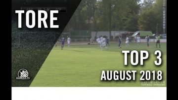 Die spektakulärsten Treffer des Monats! | Die TOP Tore August 2018