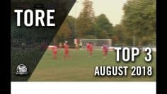 Die spektakulärsten Treffer des Monats! | Die TOP Tore August 2018