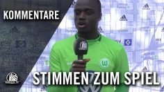 Die Stimme zum Spiel (Hamburger SV II – VfL Wolfsburg II, Regionalliga Nord) | ELBKICK.TV