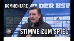 Die Stimme zum Spiel | Hamburger SV II – VfV Borussia 06 Hildesheim (19. Splt., Regionalliga Nord)