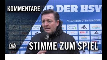 Die Stimme zum Spiel | Hamburger SV II – VfV Borussia 06 Hildesheim (19. Splt., Regionalliga Nord)