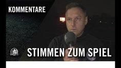 Die Stimme zum Spiel | Tennis Borussia Berlin – Malchower SV (15. Spieltag, NOFV-Oberliga Nord)