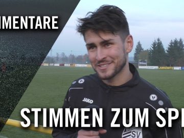Die Stimmen zum Spiel | Radefelder SV 90 – ESV Delitzsch (13. Spieltag, Landesklasse Nord)
