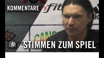 Die Stimmen zum Spiel | Tennis Borussia Berlin – Malchower SV 90 (10. Spieltag, NOFV-Oberliga Nord)