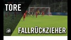 Fallrückzieher à la Bastian Schweinsteiger von Justin Schallock (SC Freiburg U17)