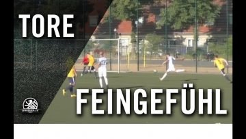 Grandiose Flugkurve | Tor von Jakob Wartchow (SC Staaken)