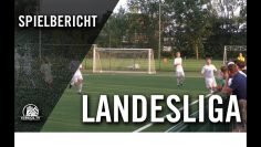 Hamburger SV III – TuRa Harksheide (3. Spieltag, Landesliga Hammonia)