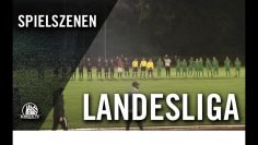 Hamm United – Bramfelder SV (14. Spieltag, Landesliga Hansa)