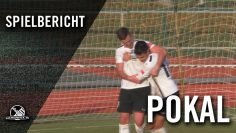 In letzter Minute: Plauen sichert sich den Einzug ins Viertelfinale