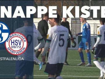 Junge Knappen bauen Tabellenführung aus | Schalke 04 – Hombrucher SV (B-Junioren-Westfalenliga)