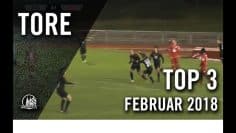 Lupfer-, Seitfallzieher- und Torwarttore | Die TOP Tore Februar 2018