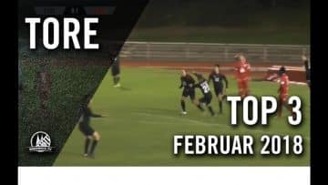 Lupfer-, Seitfallzieher- und Torwarttore | Die TOP Tore Februar 2018