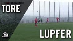 Mega Lupfer-Tor von Engin Arslan (FSV Frankfurt, U17 B-Junioren) | MAINKICK.TV