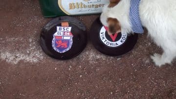 Orakel Paco tippt das Bitburger-Pokalfinale | RHEINKICK.TV