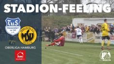 Pyro, Party, Dynamo | TuS Dassendorf – Meiendorfer SV (Oberliga Hamburg) | Präsentiert von MY-BED.eu