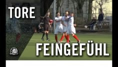 Schickes Hacken-Tor von Julian Loder (SV Tasmania Berlin)