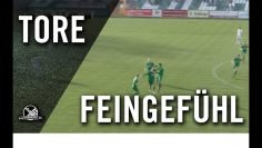 Schöner Schlenzer in den Winkel | Tor von Benjamin Schmidt (BSG Chemie Leipzig)