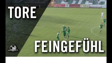 Schöner Schlenzer in den Winkel | Tor von Benjamin Schmidt (BSG Chemie Leipzig)