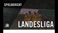 SE Freising – TSV Bogen (5. Spieltag, Landesliga Südost)