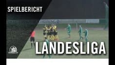 SE Freising – TSV Grünwald (24. Spieltag, Landesliga Südost)