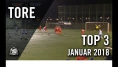 Sensationeller Torwart-Flugkopfball! | Die TOP Tore Januar 2018