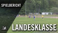 SG LVB Leipzig – VfB Zwenkau (25.Spieltag, Landesklasse Nord)