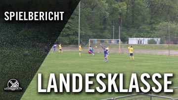 SG LVB Leipzig – VfB Zwenkau (25.Spieltag, Landesklasse Nord)