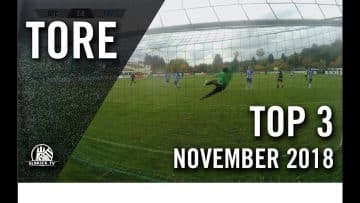 Sie kamen, sahen und trafen! | TOP-Tore November 2018