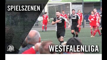 SpVgg Erkenschwick – Concordia Wiemelhausen (8. Spieltag, Westfalenliga, Staffel 2)
