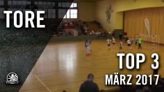TOP 3 Tore  März 2017 | SPREEKICK.TV