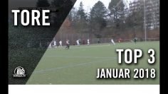 Traumhafte Volley-Treffer nach Eckball | TOP Tore Januar 2018