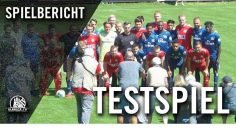 TSV Buchholz 08 – Hamburger SV (Testspiel)
