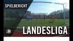 Türkiyemspor – FSV Berolina Stralau (23. Spieltag, Landesliga, Staffel1)