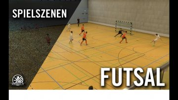 UfK Potsdam 08 – VfL 05 Hohenstein-Ernstthal (12. Spieltag, NOFV-Futsal-Regionalliga)