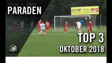 Unglaubliche Rettungstaten | TOP Paraden Oktober