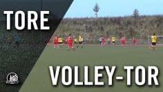 Volleyhammer von Konstantin Langhammer (BC Viktoria Glesch-Paffendorf) | RHEINKICK.TV