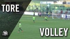 Volleytor von Torsten Oehrl (SV Wehen Wiesbaden) | MAINKICK.TV