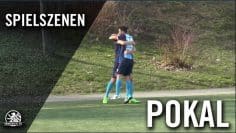 VSG Altglienicke – FC Viktoria 1889 Berlin (Halbfinale, Berliner Pokal der 1. Herren 2016/2017)