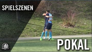 VSG Altglienicke – FC Viktoria 1889 Berlin (Halbfinale, Berliner Pokal der 1. Herren 2016/2017)