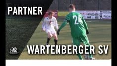 Wartenberger SV – FSV Hansa 07 (18. Spieltag, Bezirksliga, Staffel 1)