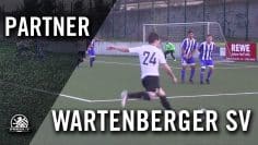 Wartenberger SV – MSV Normannia (Bezirksliga, Staffel 3) – Spielszenen | SPREEKICK.TV