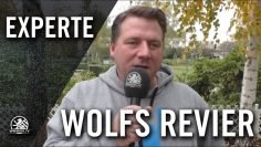 Wolfs Revier – Nachwuchsarbeit | SPREEKICK.TV