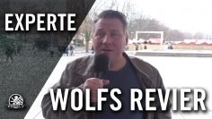 Wolfs Revier – Neues Stadion für die Hertha? | SPREEKICK.TV