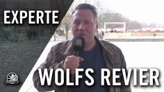 Wolfs Revier – Trainerwechsel in Zehlendorf | SPREEKICK.TV